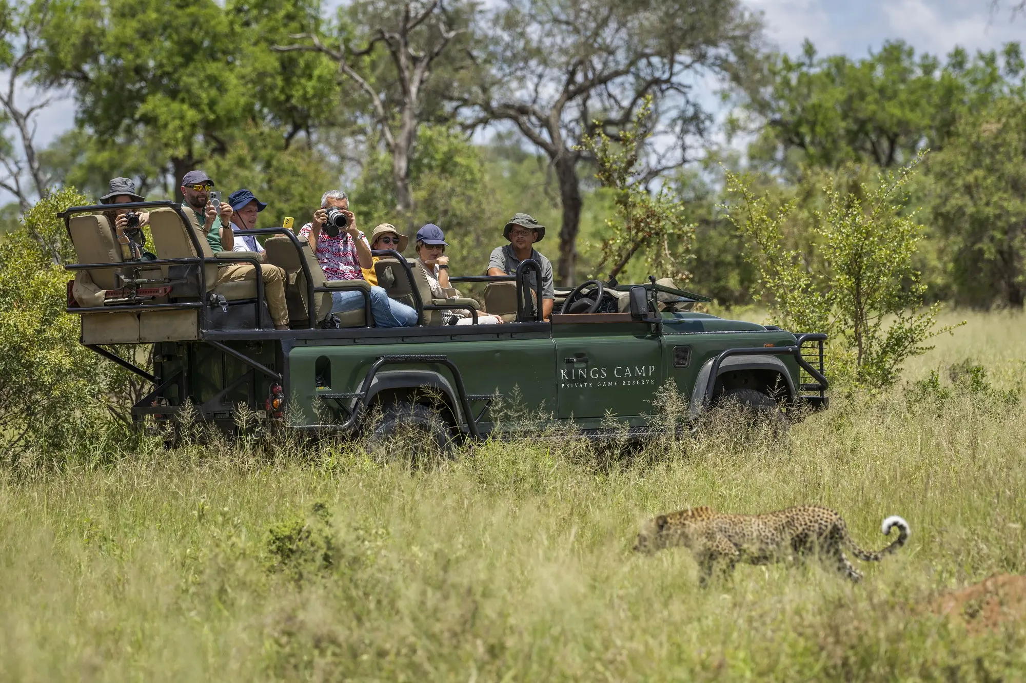 Complete Guide To Safari Game Drives