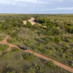 open safari vehicle on game drive in the timbavati private nature reserve