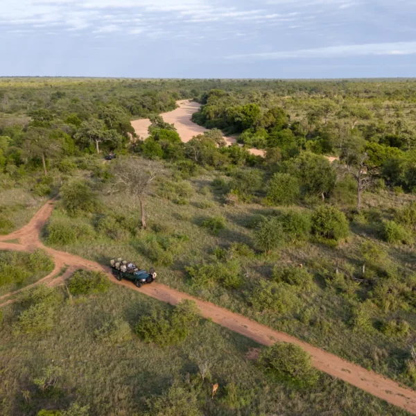 open safari vehicle on game drive in the timbavati private nature reserve