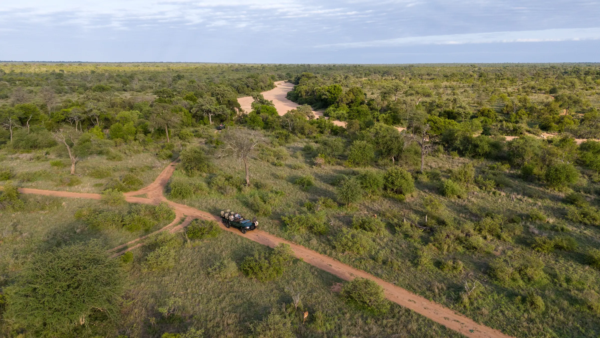 Safari Guide to The Greater Kruger