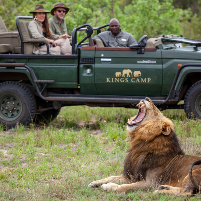 south africa honeymoon safaris
