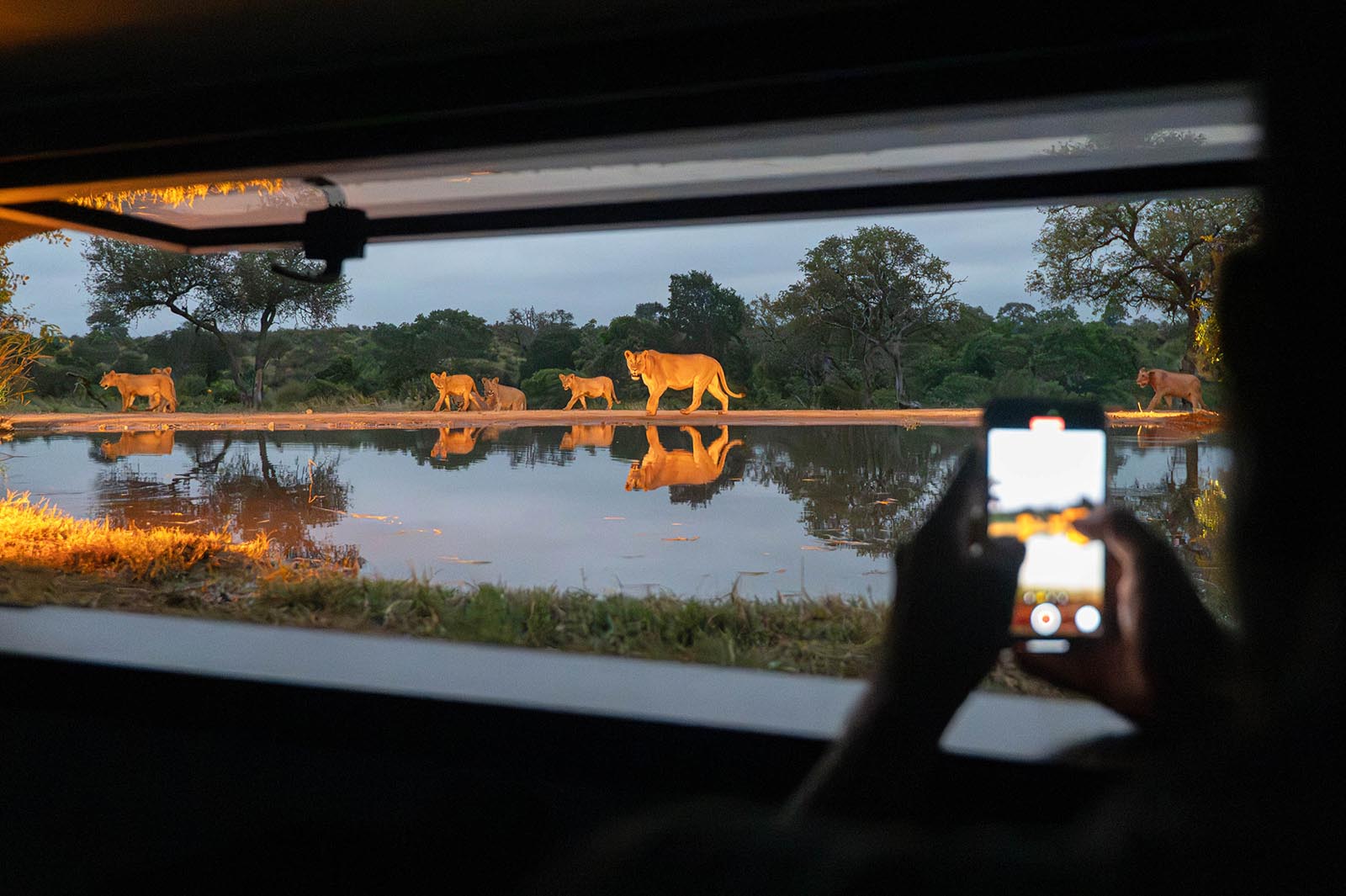 Game Viewing From Kings Camp